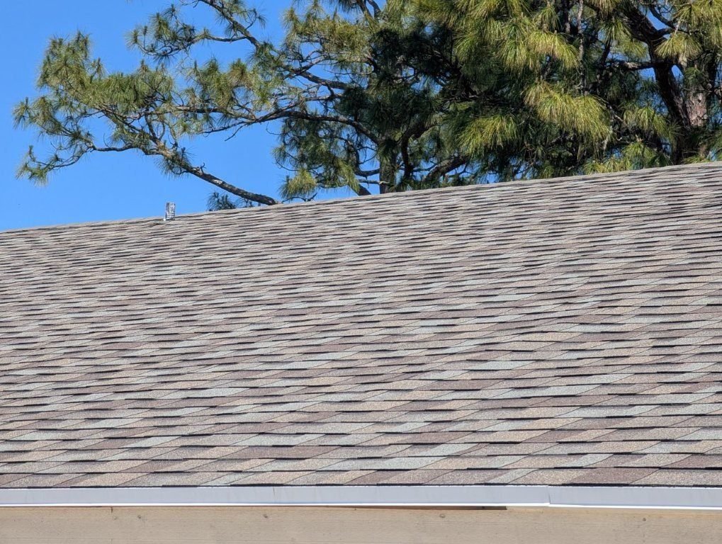 service single images