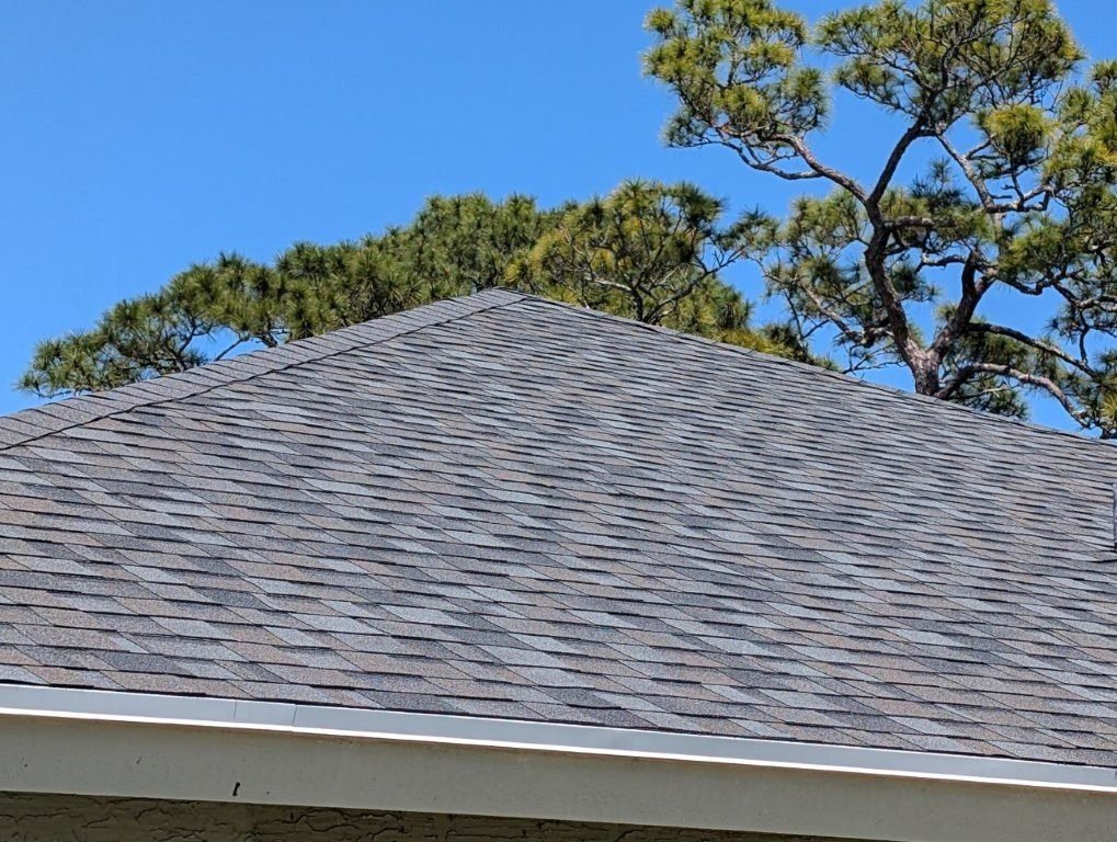 service single images