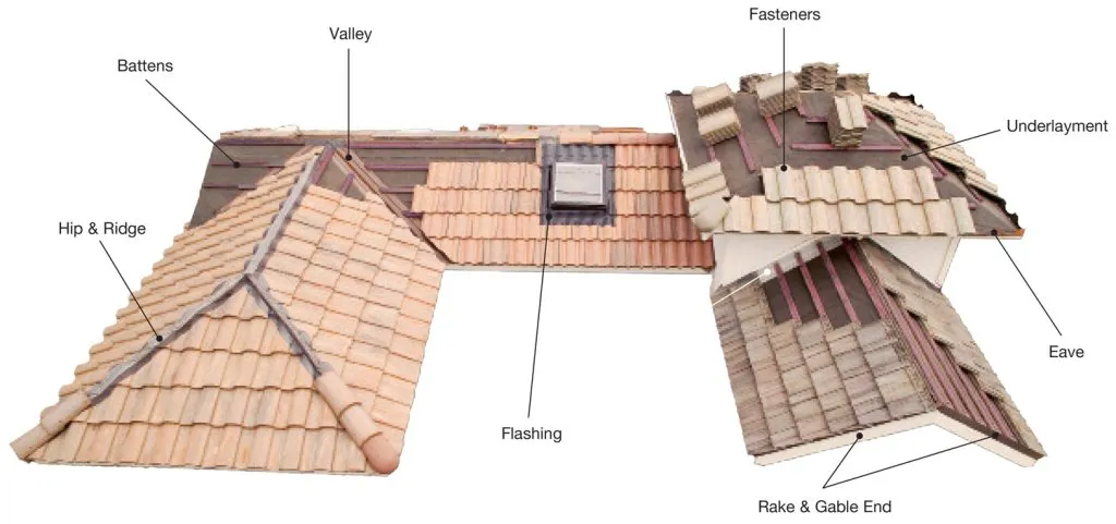 service single images