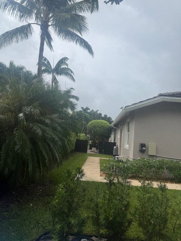 service single images